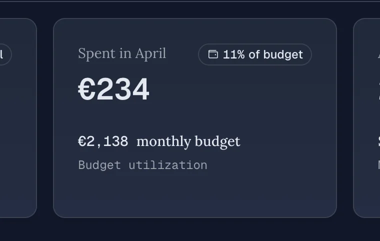 Budget Tracking